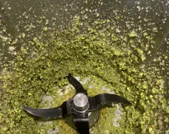 Step <p>Añada 50 g de pistachos, el ajo, la albahaca, el 70 g de aceite de oliva y ¼ de cucharadita de sal y triture 20 seg/vel 7. </p> illustration