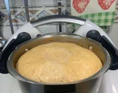 Step <p>Incorpore la harina y la sal e inicie Amasar /12 min. Deje reposar dentro del vaso hasta que doble su volumen (aprox. 1 hora en función de la temperatura ambiente). </p> illustration